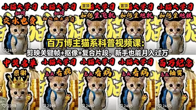（18595期）百万博主猫系科普视频课：剪映关键帧+抠像+复合片段，新手也能月入过万-尊多创业网