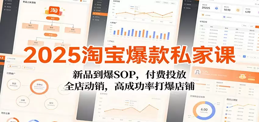 2025淘宝爆款私家课：新品到爆SOP，付费投放，全店动销，高成功率打爆店铺-尊多创业网