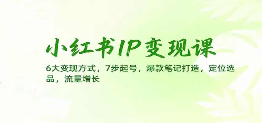 小红书IP变现课：6大变现方式，7步起号，爆款笔记打造，定位选品，流量增长-尊多创业网