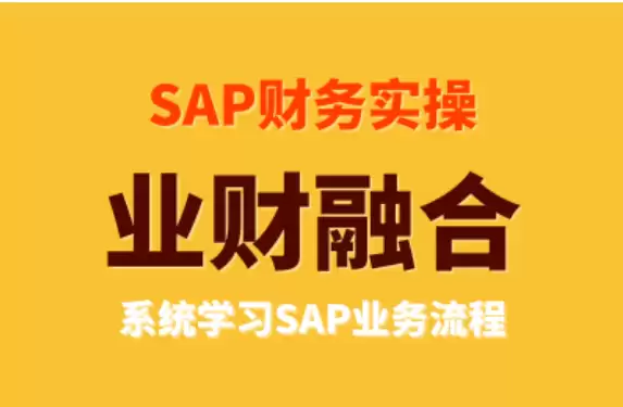 【SAP财务实操《业财融合》系统学习SAP业务流程】56节-尊多创业网