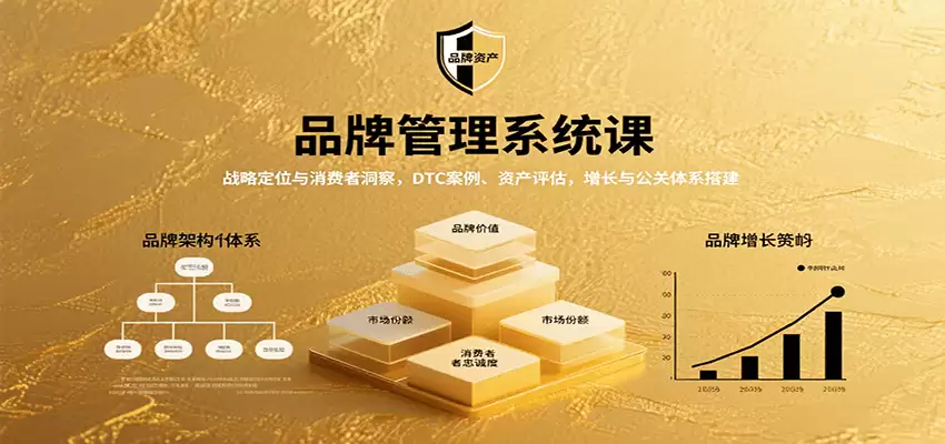 品牌管理系统课：战略定位与消费者洞察，DTC案例、资产评估，增长与公关体系搭建-尊多创业网
