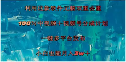 （11710期）利用这款软件无脑双重去重 100％中视频＋视频号分成计划 小白也能月入3w＋-尊多创业网
