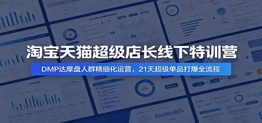 淘宝天猫超级店长线下特训营:DMP达摩盘人群精细化运营,21天超级单品打爆全流程-尊多创业网