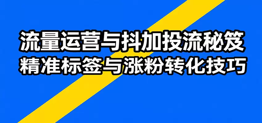 流量运营与抖加投流秘笈，含算法解析、爆款打造、精准标签与涨粉转化技巧-尊多创业网