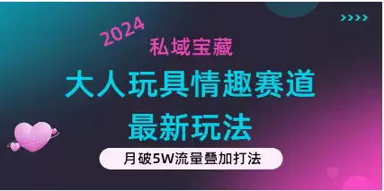 （11541期）私域宝藏：大人玩具情趣赛道合规新玩法，零投入，私域超高流量成单率高-尊多创业网
