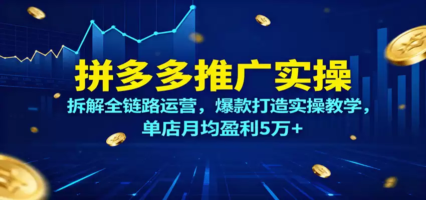 拼多多推广实操，拆解全链路运营，爆款打造实操教学，单店月均盈利5万+-尊多创业网