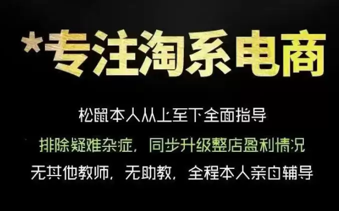 松鼠会电商VIP课程，从基础布局到高阶优化，助你掌握淘宝运营逻辑，提升店铺流量与转化-尊多创业网