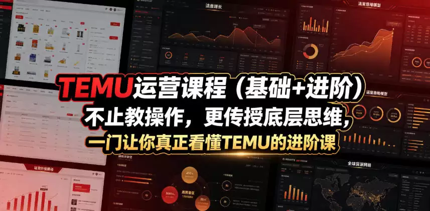 TEMU运营课程（基础+进阶），不止教操作，更传授底层思维，一门让你真正看懂TEMU的进阶课-尊多创业网