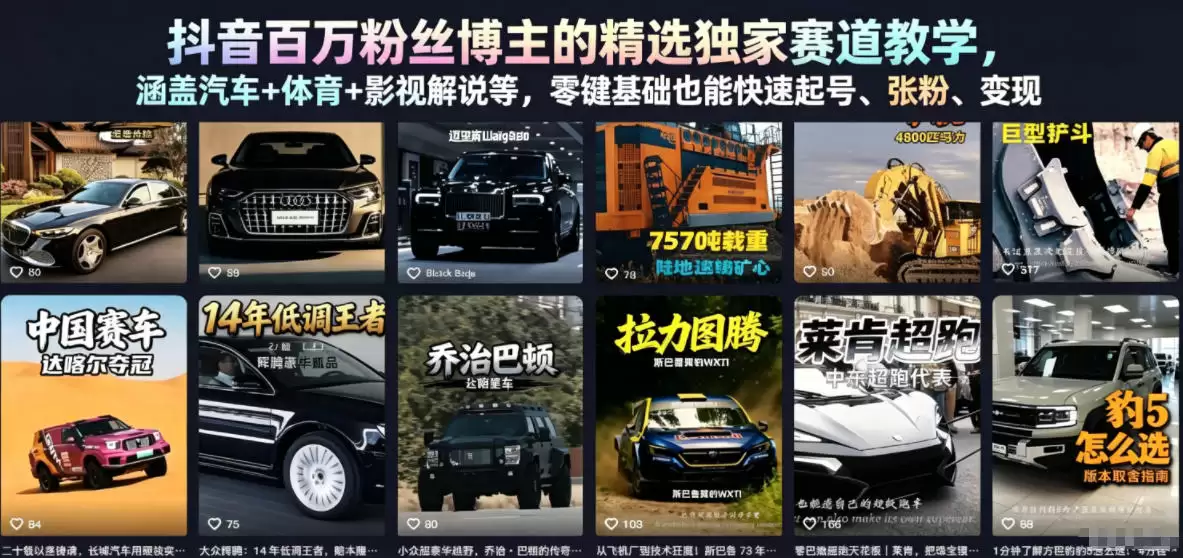 抖音百万粉丝博主精选独家赛道教程,涵盖汽车+体育+影视解说等,零基础也能快速开户、增粉、变现(更新0701)-尊多创业网